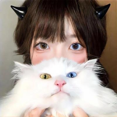 小石头